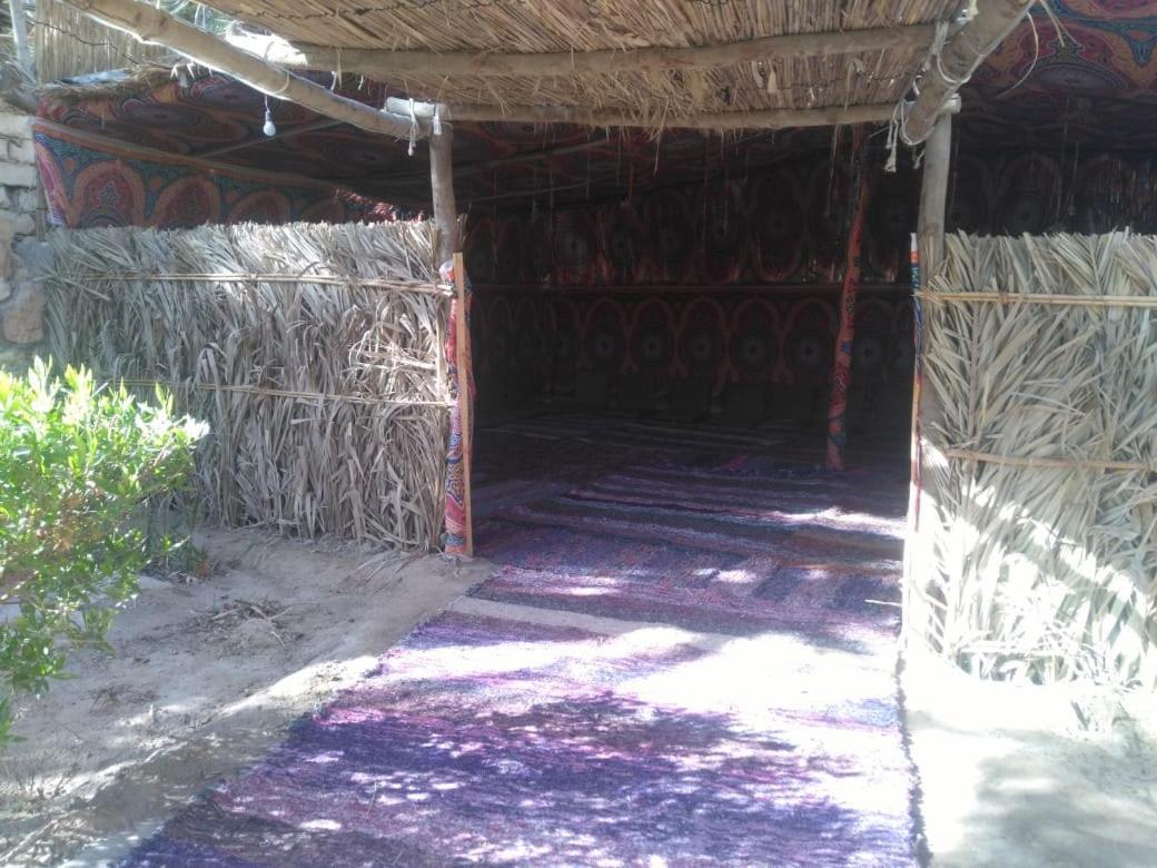 Siwa Paradise Siwa Oasis Dış mekan fotoğraf