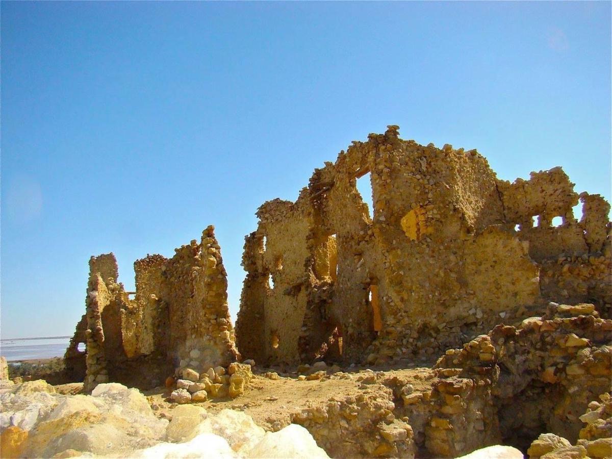 Siwa Paradise Siwa Oasis Dış mekan fotoğraf