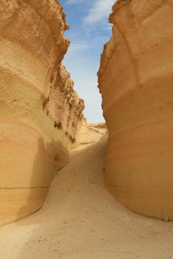 Siwa Paradise Siwa Oasis Dış mekan fotoğraf