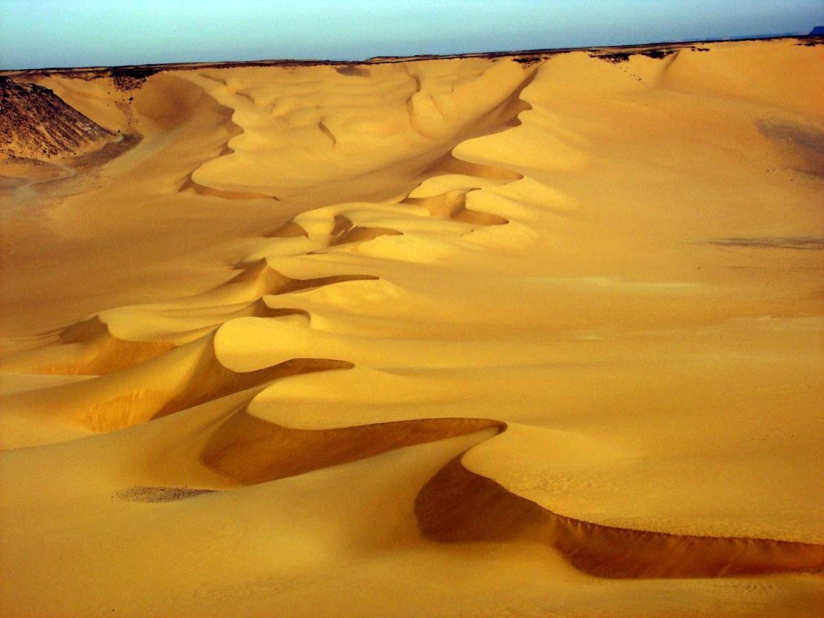 Siwa Paradise Siwa Oasis Dış mekan fotoğraf